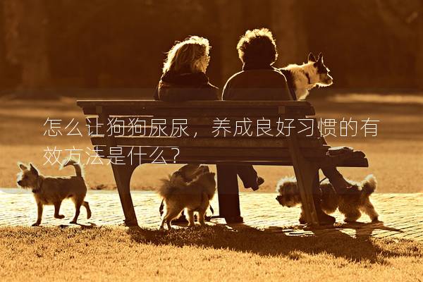 怎么讓狗狗尿尿，養(yǎng)成良好習慣的有效方法是什么？