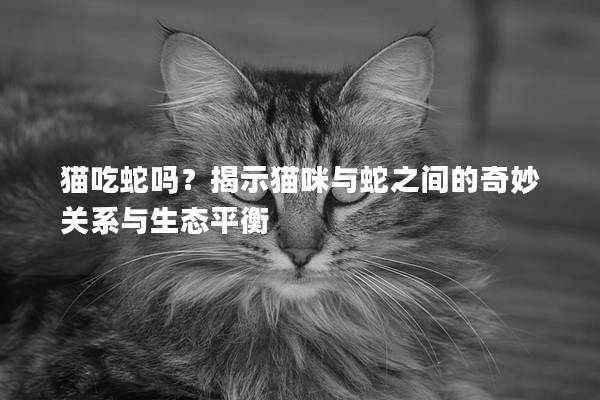 貓吃蛇嗎？揭示貓咪與蛇之間的奇妙關(guān)系與生態(tài)平衡