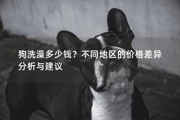 狗洗澡多少錢？不同地區(qū)的價格差異分析與建議