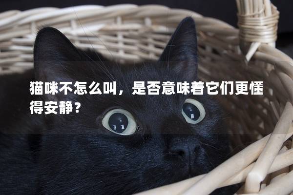 貓咪不怎么叫，是否意味著它們更懂得安靜？