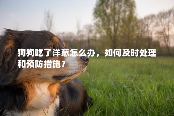 狗狗吃了洋蔥怎么辦，如何及時處理和預防措施？