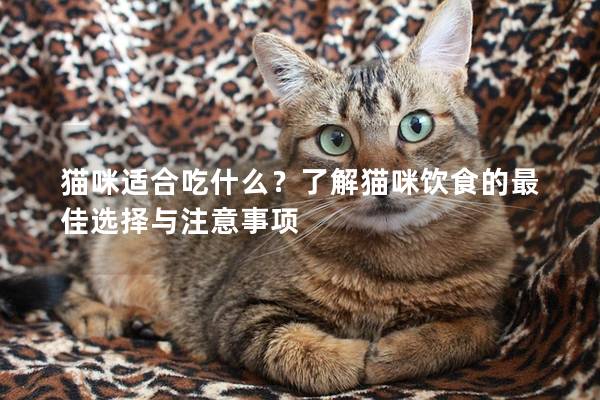 貓咪適合吃什么？了解貓咪飲食的最佳選擇與注意事項