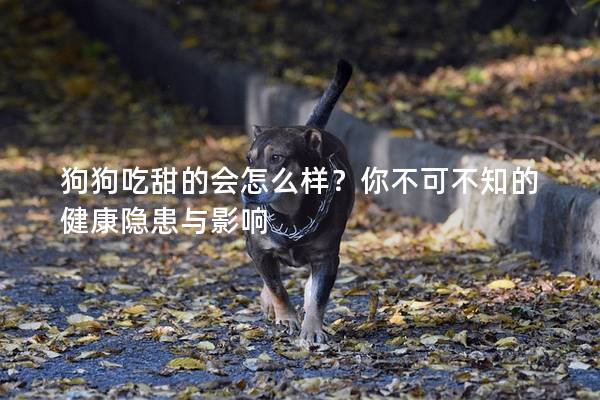 狗狗吃甜的會怎么樣？你不可不知的健康隱患與影響