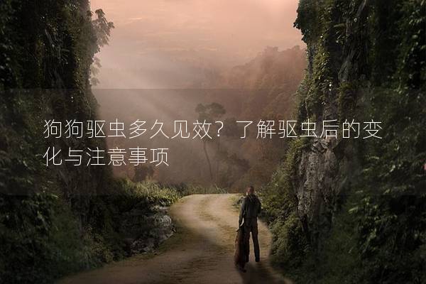 狗狗驅蟲多久見效?了解驅蟲后的變化與注意事項 狗狗驅蟲多久見效?了解驅蟲后的變化與注意事項