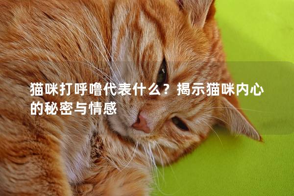 貓咪打呼嚕代表什么？揭示貓咪內心的秘密與情感