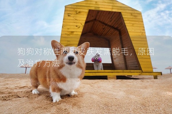 狗狗對(duì)稱(chēng)性?xún)蛇吰つw發(fā)黑脫毛，原因及治療方法