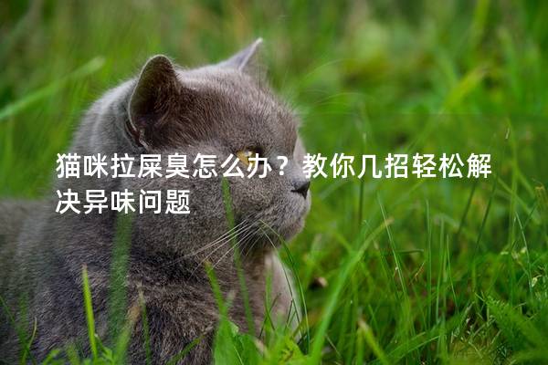 貓咪拉屎臭怎么辦？教你幾招輕松解決異味問題