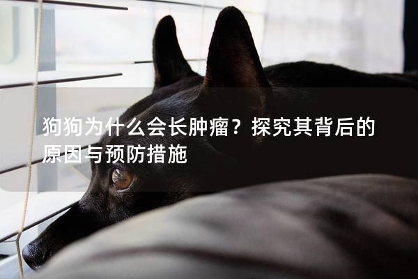 狗狗為什么會長腫瘤？探究其背后的原因與預防措施