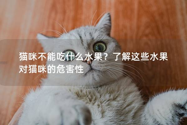 貓咪不能吃什么水果？了解這些水果對(duì)貓咪的危害性