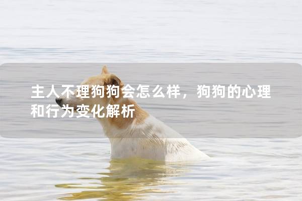 主人不理狗狗會怎么樣，狗狗的心理和行為變化解析