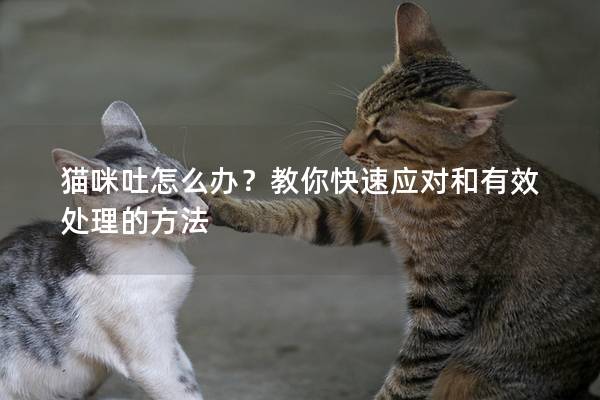 貓咪吐怎么辦？教你快速應對和有效處理的方法