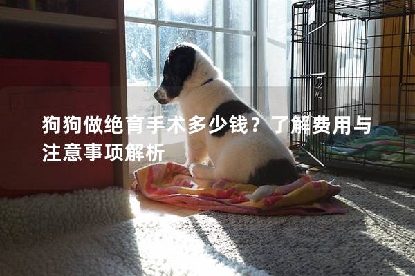 狗狗做絕育手術多少錢？了解費用與注意事項解析