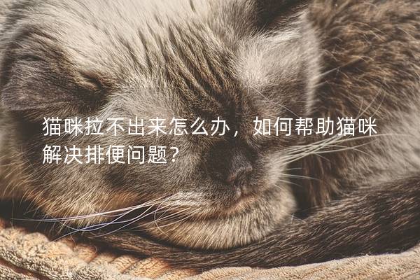 貓咪拉不出來怎么辦，如何幫助貓咪解決排便問題？