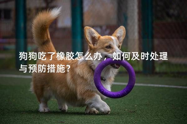 狗狗吃了橡膠怎么辦，如何及時處理與預防措施？