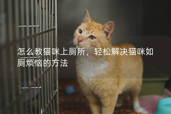 怎么教貓咪上廁所，輕松解決貓咪如廁煩惱的方法