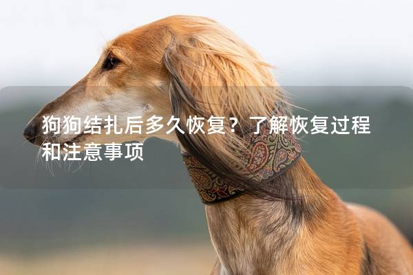 狗狗結扎后多久恢復？了解恢復過程和注意事項