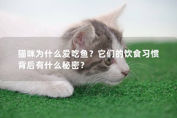 貓咪為什么愛吃魚？它們的飲食習慣背后有什么秘密？