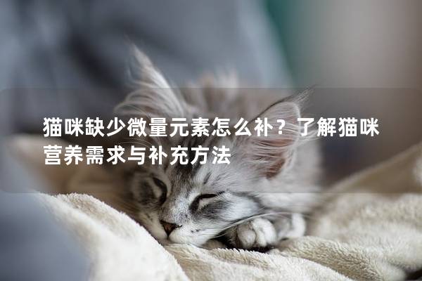 貓咪缺少微量元素怎么補？了解貓咪營養(yǎng)需求與補充方法
