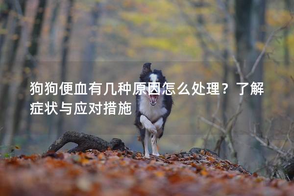 狗狗便血有幾種原因怎么處理？了解癥狀與應(yīng)對措施