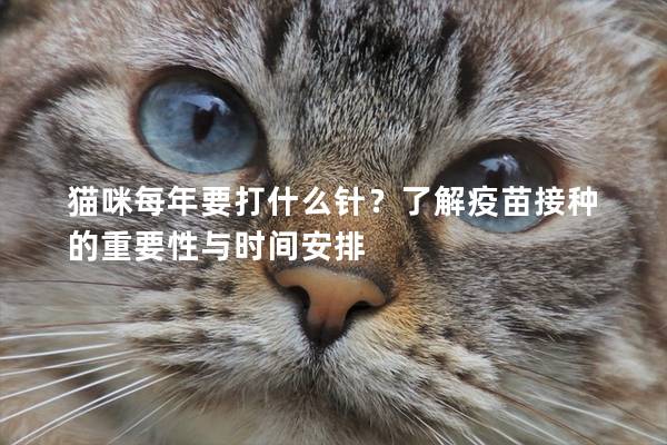 貓咪每年要打什么針？了解疫苗接種的重要性與時間安排