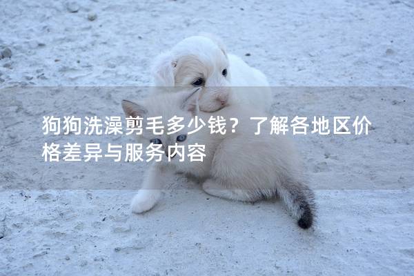 狗狗洗澡剪毛多少錢?了解各地區價格差異與服務內容 狗狗洗澡剪毛多少錢?了解各地區價格差異與服務內容