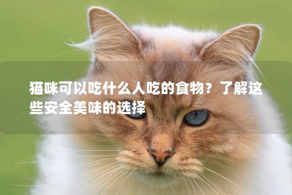 貓咪可以吃什么人吃的食物？了解這些安全美味的選擇