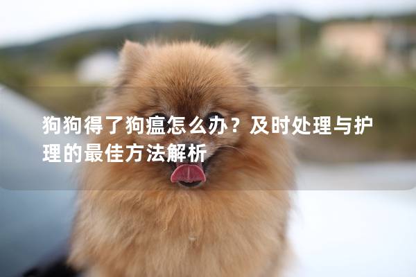 狗狗得了狗瘟怎么辦？及時處理與護理的最佳方法解析