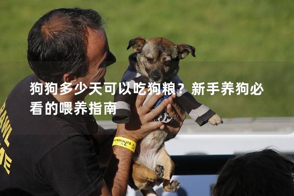 狗狗多少天可以吃狗糧？新手養狗必看的喂養指南