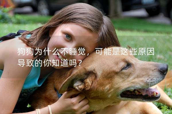 狗狗為什么不睡覺，可能是這些原因導致的你知道嗎？