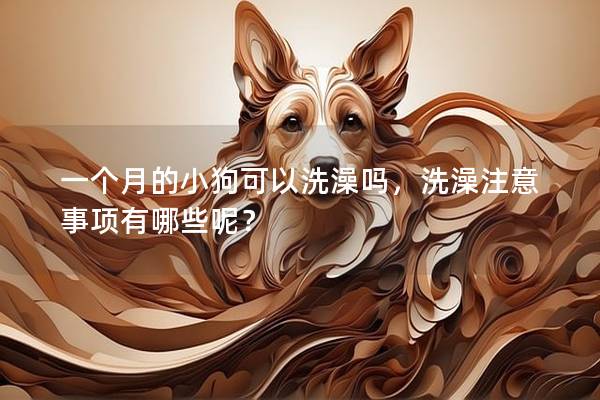 一個月的小狗可以洗澡嗎，洗澡注意事項有哪些呢？