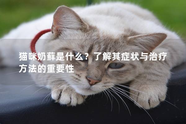 貓咪奶蘚是什么？了解其癥狀與治療方法的重要性