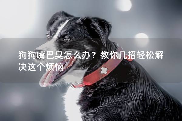 狗狗嘴巴臭怎么辦？教你幾招輕松解決這個煩惱