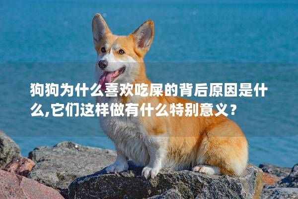 狗狗為什么喜歡吃屎的背后原因是什么,它們這樣做有什么特別意義？