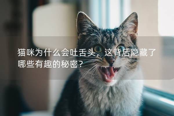貓咪為什么會吐舌頭，這背后隱藏了哪些有趣的秘密？
