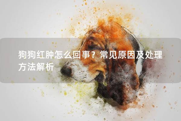 狗狗紅腫怎么回事？常見原因及處理方法解析