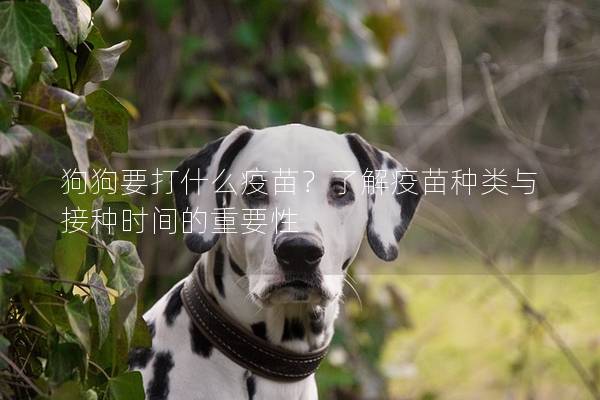 狗狗要打什么疫苗？了解疫苗種類與接種時(shí)間的重要性