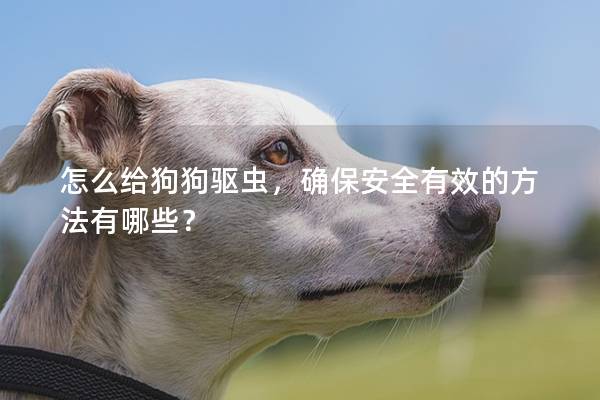 怎么給狗狗驅蟲,確保安全有效的方法有哪些? 怎么給狗狗驅蟲,確保安全有效的方法有哪些?