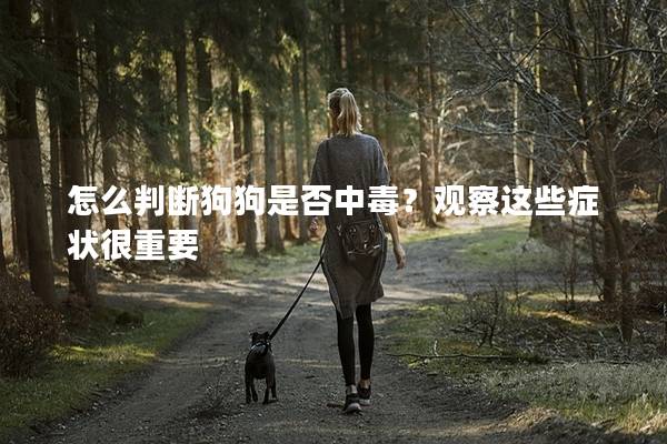 怎么判斷狗狗是否中毒？觀察這些癥狀很重要