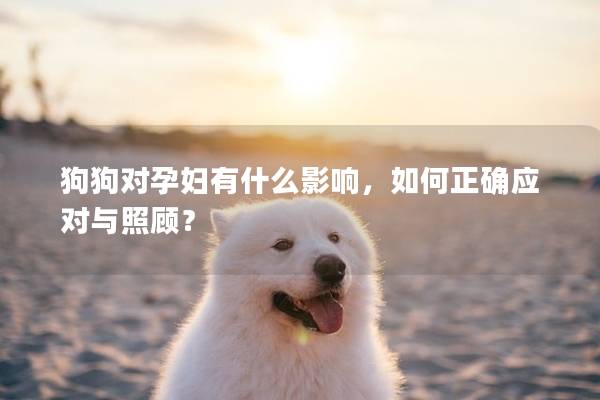 狗狗對孕婦有什么影響，如何正確應(yīng)對與照顧？