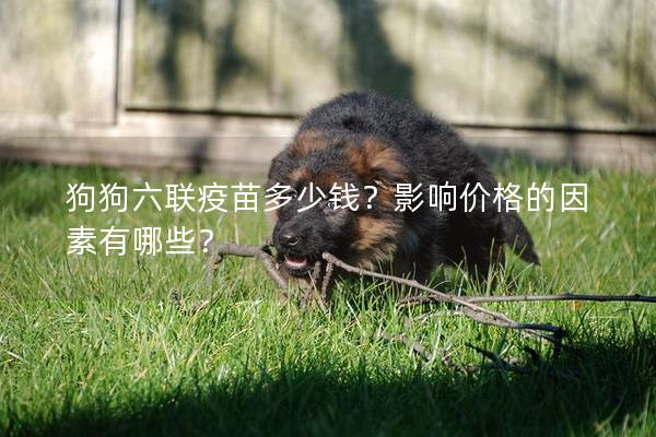 狗狗六聯疫苗多少錢？影響價格的因素有哪些？