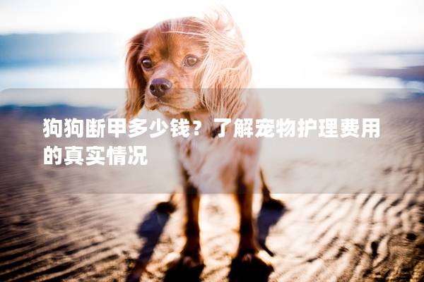 狗狗斷甲多少錢？了解寵物護理費用的真實情況