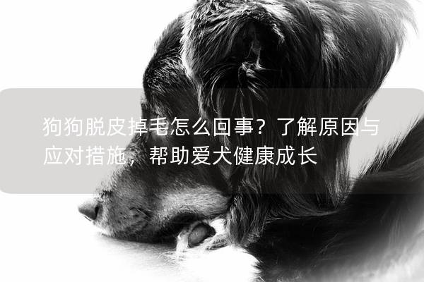 狗狗脫皮掉毛怎么回事？了解原因與應(yīng)對措施，幫助愛犬健康成長