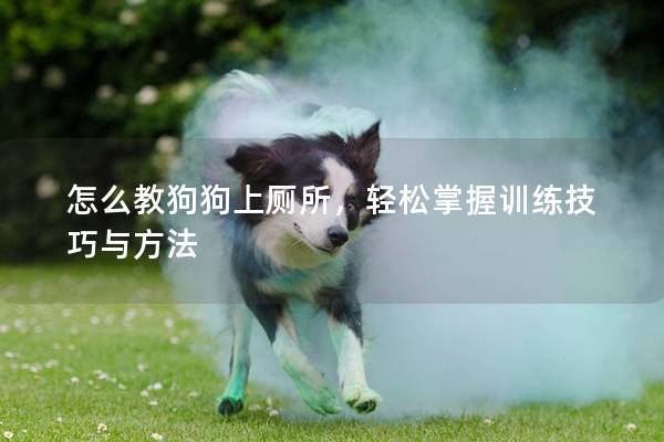怎么教狗狗上廁所，輕松掌握訓練技巧與方法