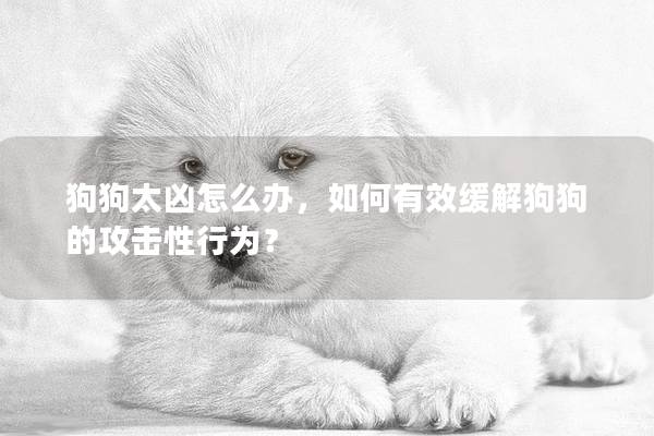 狗狗太兇怎么辦,如何有效緩解狗狗的攻擊性行為? 狗狗太兇怎么辦,如何有效緩解狗狗的攻擊性行為?