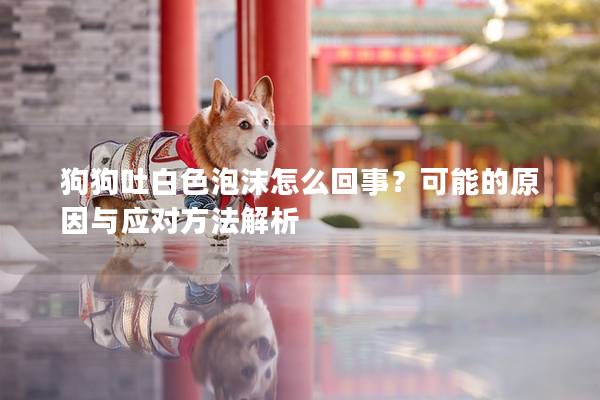 狗狗吐白色泡沫怎么回事？可能的原因與應(yīng)對方法解析