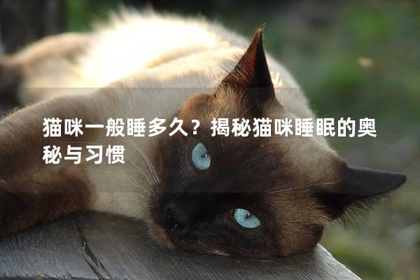 貓咪一般睡多久？揭秘貓咪睡眠的奧秘與習(xí)慣