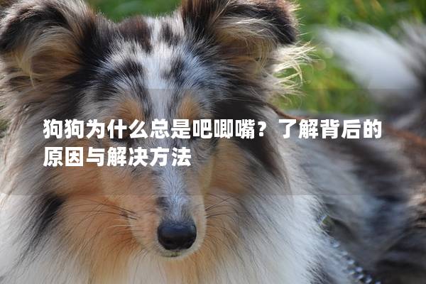 狗狗為什么總是吧唧嘴？了解背后的原因與解決方法