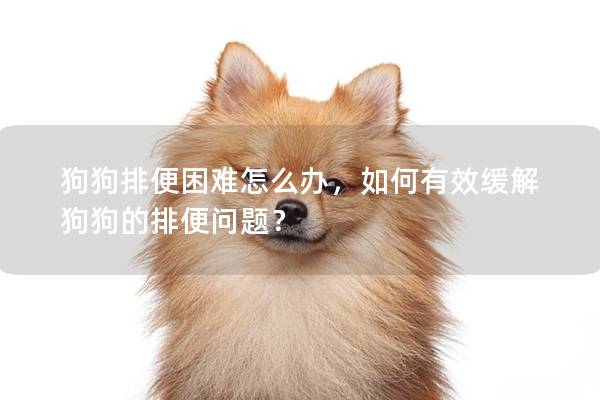 狗狗排便困難怎么辦，如何有效緩解狗狗的排便問(wèn)題？