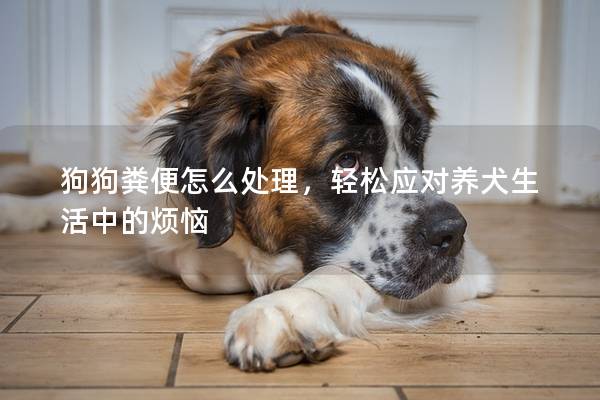 狗狗糞便怎么處理，輕松應對養(yǎng)犬生活中的煩惱