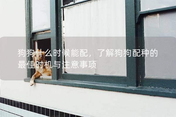 狗狗什么時(shí)候能配，了解狗狗配種的最佳時(shí)機(jī)與注意事項(xiàng)